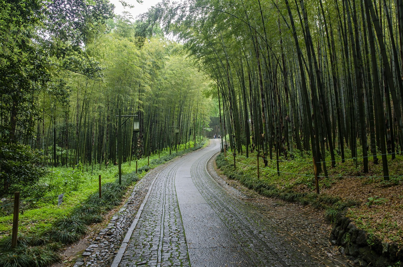 桂林七日游，山水间的诗意栖居