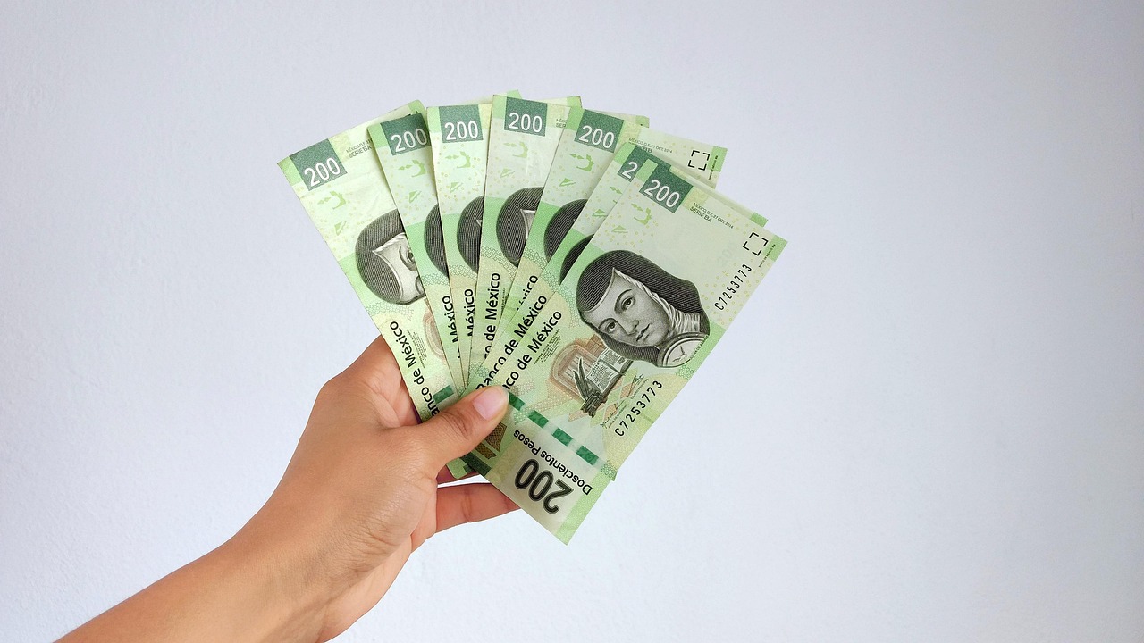 基金一般选几只（基金选几只合适）
